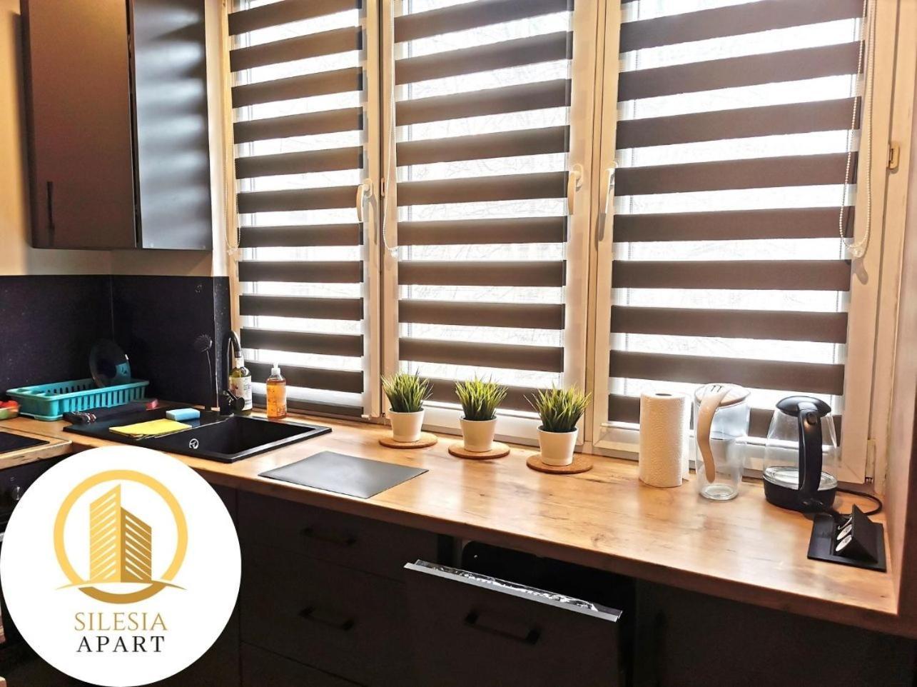 Apartament Ceglany ティヒ エクステリア 写真